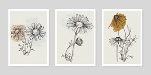 手绘花卉艺术画作展示