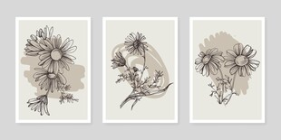 三幅花卉素描装饰画