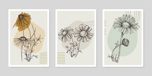 三幅简约风花卉插画作品