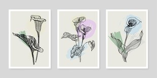 三幅手绘花卉装饰画