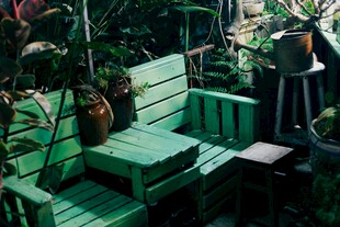 绿色户外木质桌椅绿植景