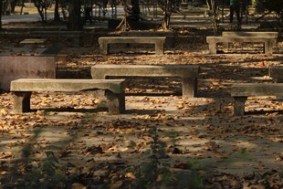 秋日公园长椅 