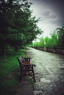 雨后公园长椅 