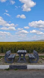 田野边的桌椅景观