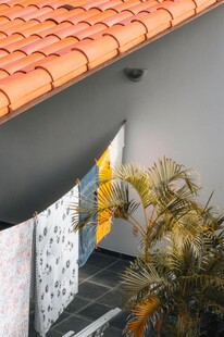 屋顶下的绿植与多彩墙面