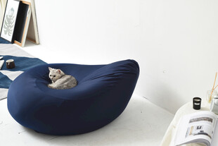 蓝色豆袋椅上的猫咪