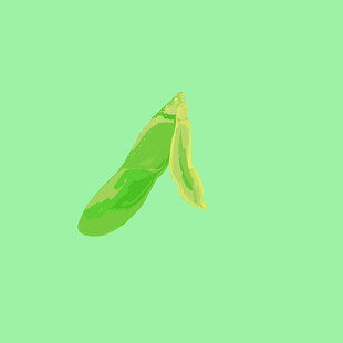毛豆