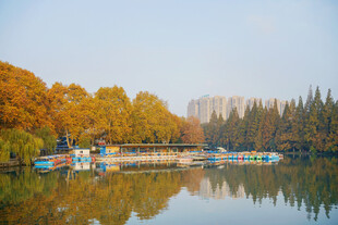 秋日湖畔美景
