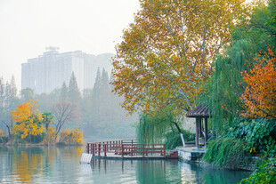 秋日湖畔美景