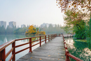 湖畔木桥秋景