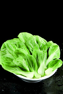 新鲜小白菜摆放在盘中