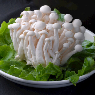 新鲜白玉菇摆放在绿叶上