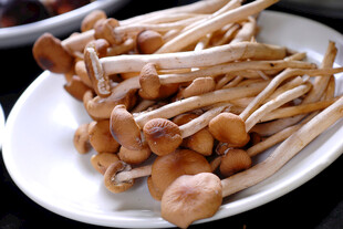 盘中新鲜茶树菇