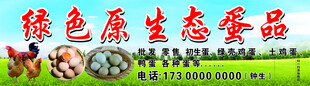 绿色原生态农产品展示