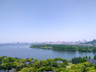 湖畔绿意与城市天际线
