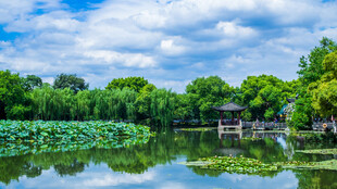 湖畔绿意盎然的中式景致