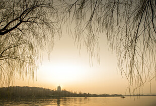 夕阳下的垂柳湖畔美景
