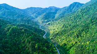 青山绿水间的壮美山谷