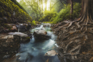 山间溪流绿意盎然的自然景