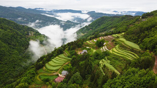 梯田