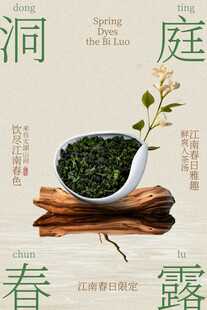 春露新茶碧螺春茶叶海报