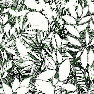 黑白植物叶片图案纹理