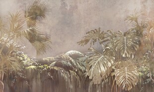 丛林中的神秘植物景观