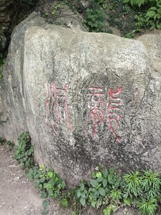 刻字巨石周边绿植相伴