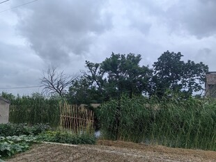 乡村田园景致