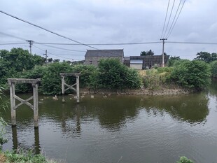 乡村水边简易桥梁景观