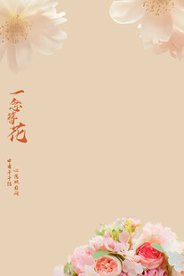 一念簪花