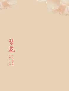百天照