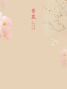 簪花海报