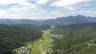 山间绿野风光