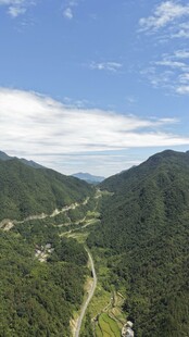 山间公路穿行于葱郁山林