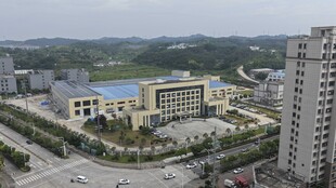 城市建筑群俯瞰景观