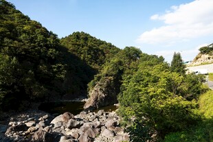 山间石景与葱郁植被