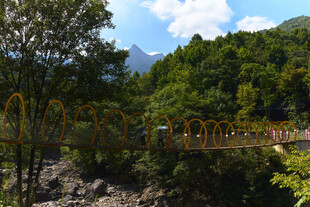 山间吊桥横跨葱郁树林