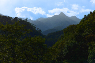 山间葱郁林木与远处山峦