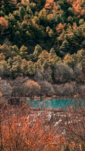 秋日山林中的静谧湖泊