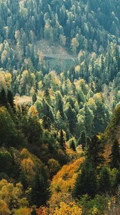 秋日山林美景