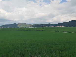 广袤绿野与远山的美丽景致