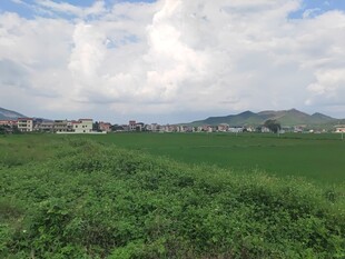 绿野蓝天乡村风光美景