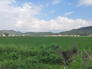 广袤绿野与远山蓝天