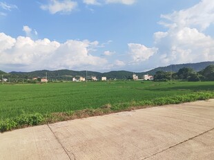 乡村田野风景