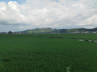广袤绿野与远处山峦