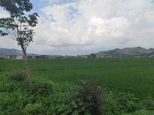 广袤绿野与远处山峦风光