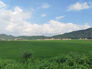 绿野蓝天间的乡村美景
