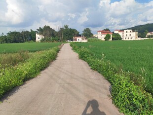 乡间小路 田园风光