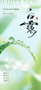 白露时节草尖露珠美景